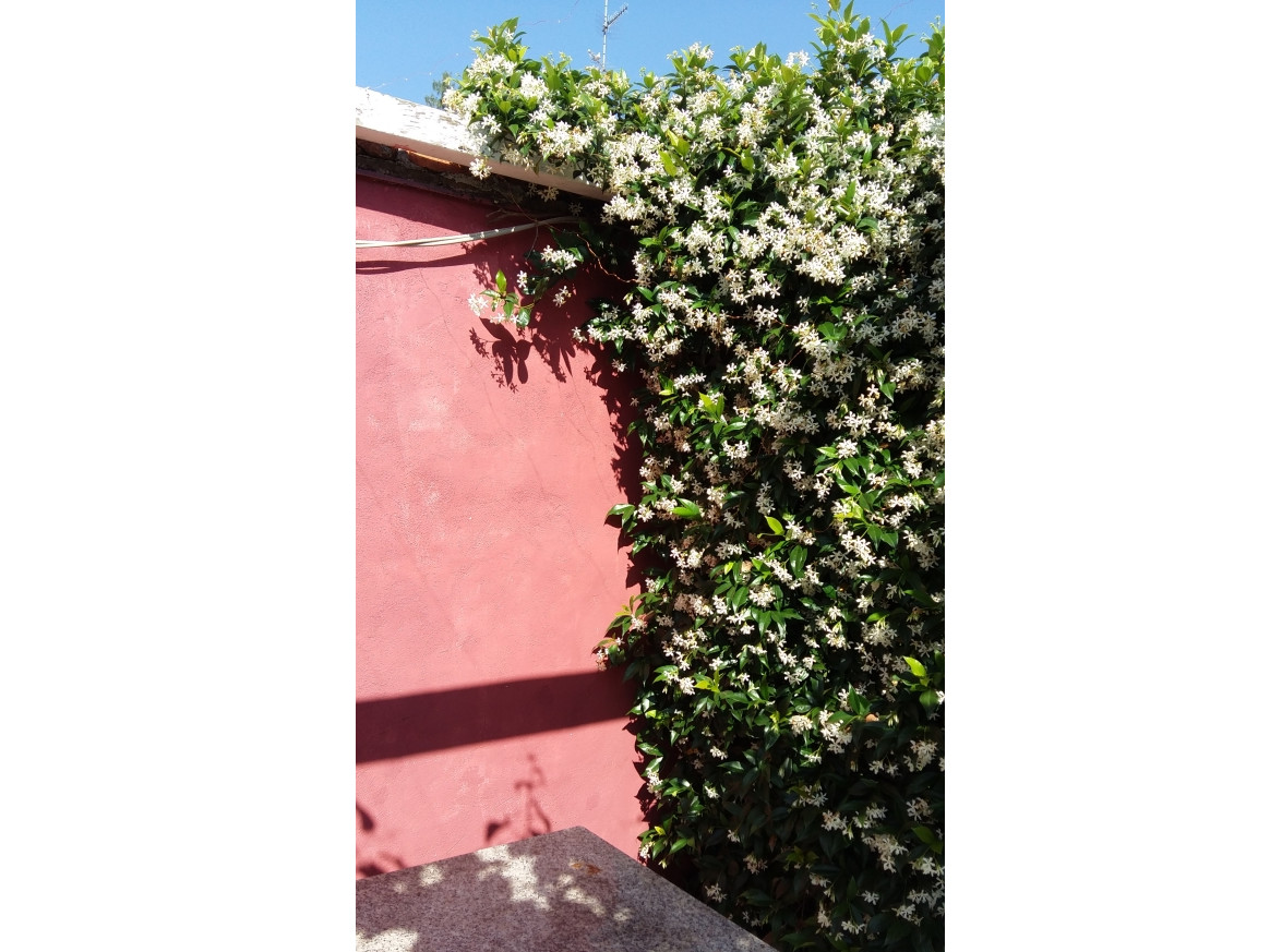 Trattoria al Picchio